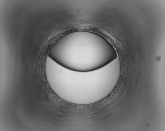 X0000097901447200803140956
