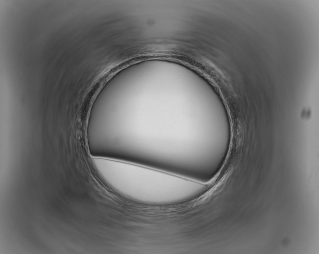X0000097901449200803140955