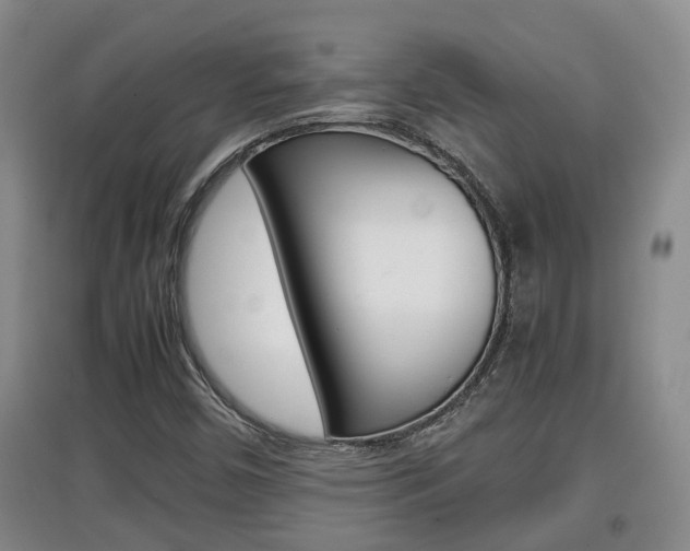 X0000097901450200803140955