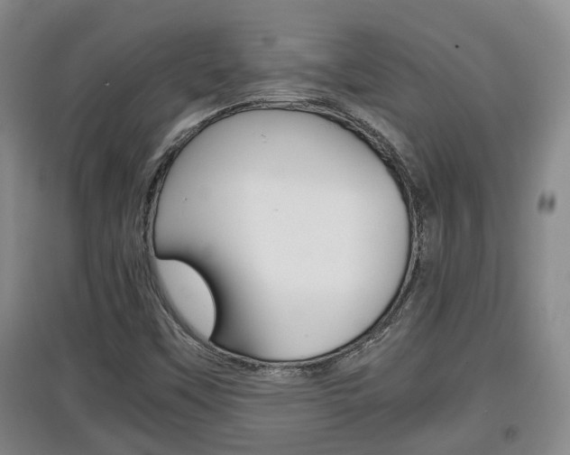 X0000097901451200803140955