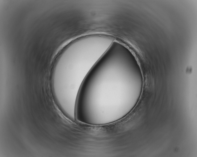 X0000097901452200803140955