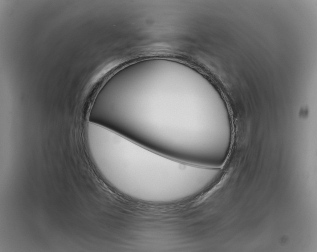 X0000097901453200803140955
