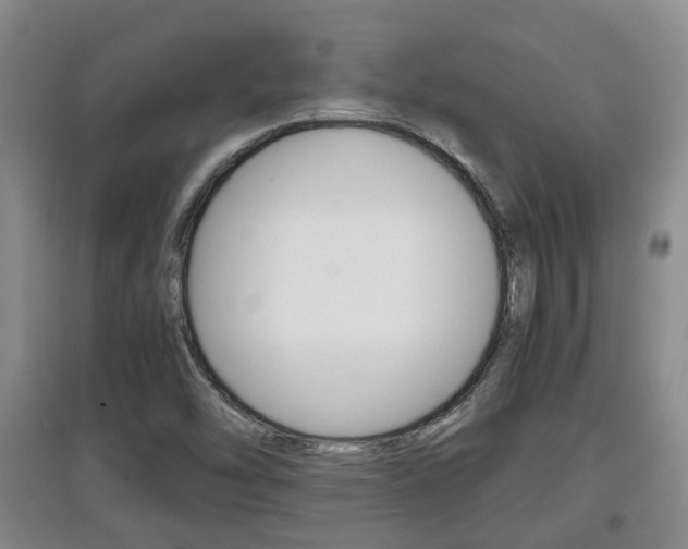 X0000097901454200803140955