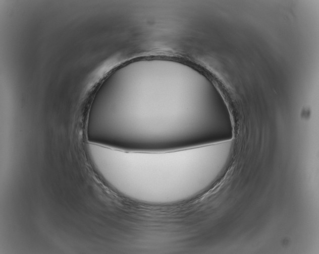 X0000097901455200803140955