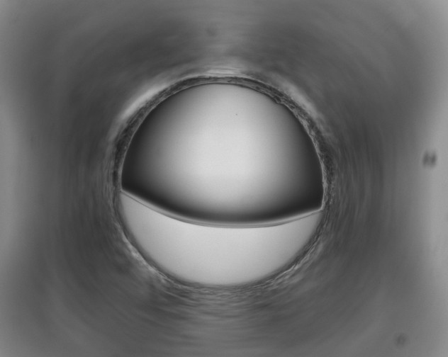 X0000097901456200803140955