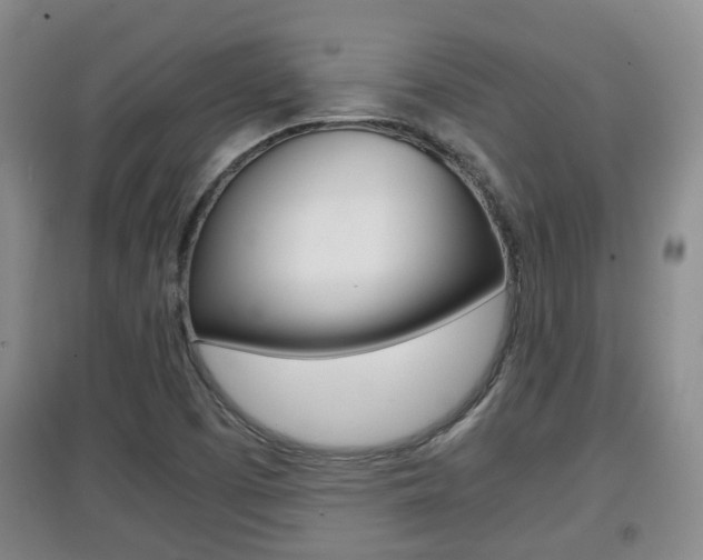 X0000097901457200803140955
