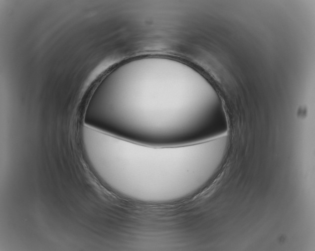 X0000097901458200803140955