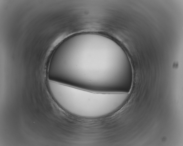 X0000097901459200803140955