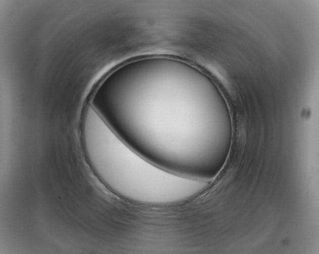 X0000097901460200803140955