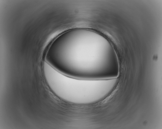 X0000097901461200803140955