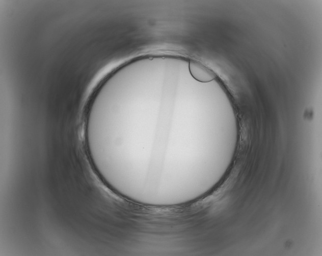 X0000097901462200803140955