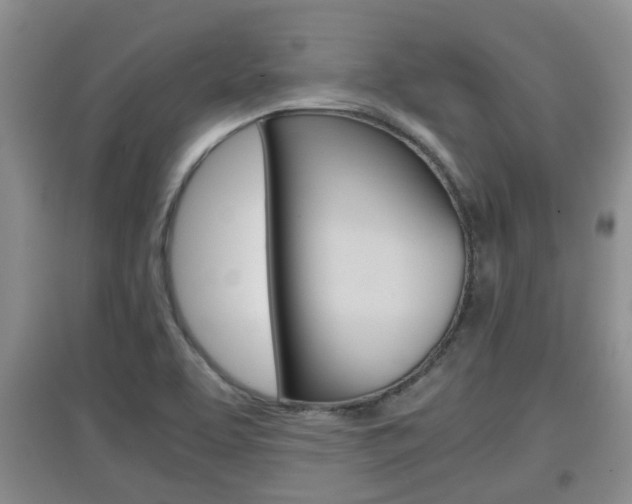 X0000097901463200803140955