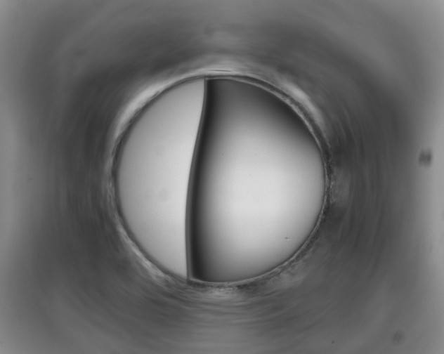X0000097901464200803140955