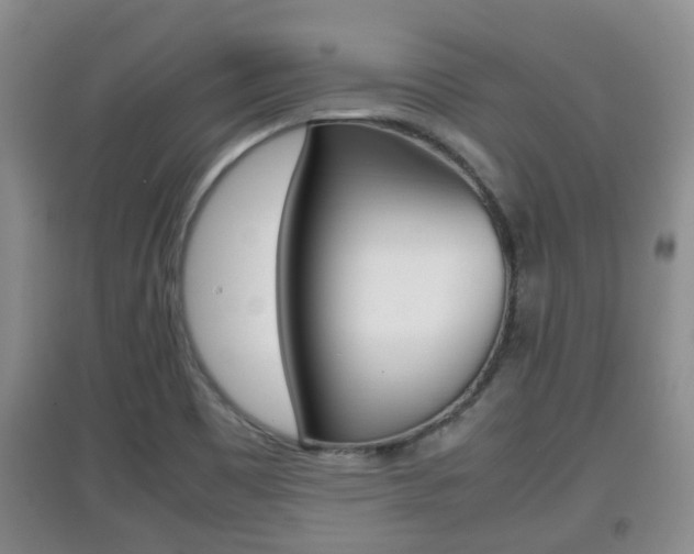 X0000097901465200803140955