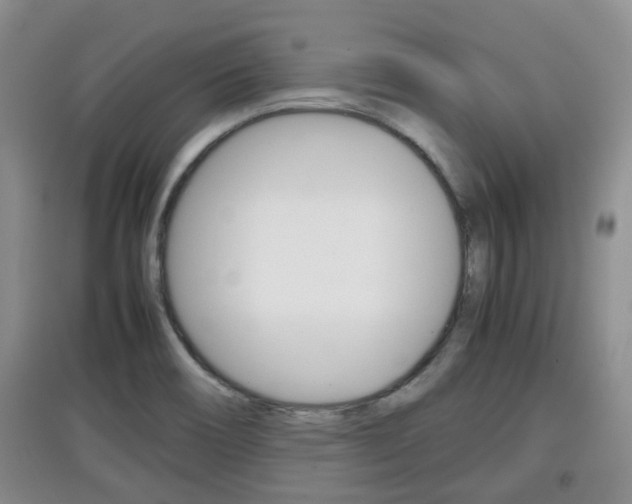 X0000097901466200803140955