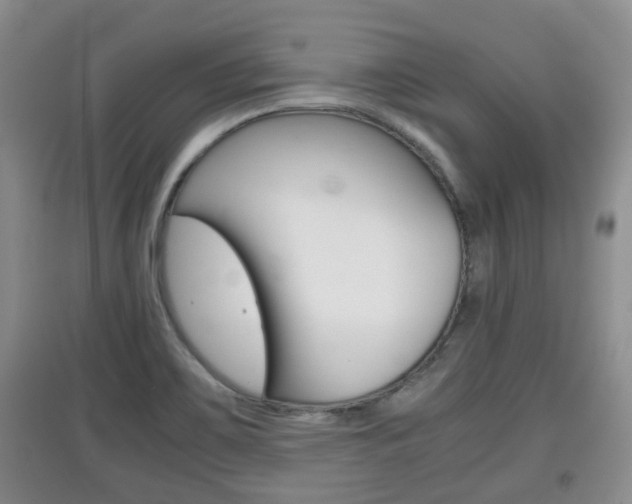 X0000097901467200803140955