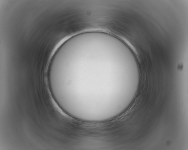 X0000097901468200803140955