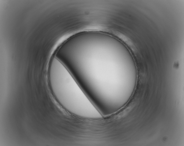 X0000097901469200803140955