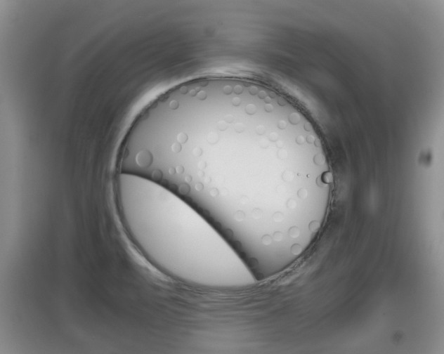 X0000097901471200803140955