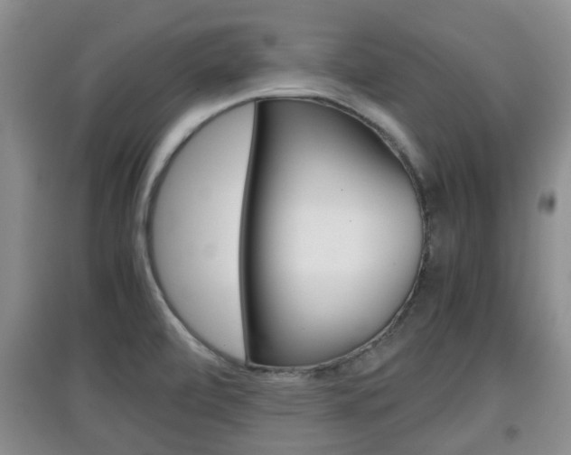 X0000097901472200803140955