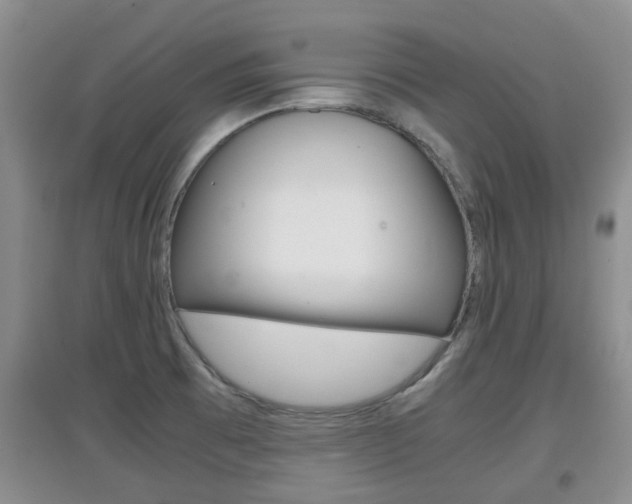 X0000097901473200803140955