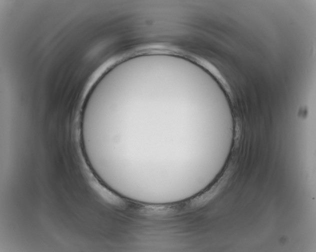 X0000097901474200803140955