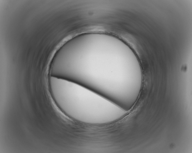 X0000097901475200803140955