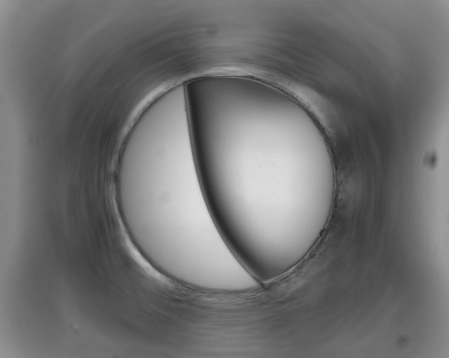 X0000097901476200803140955