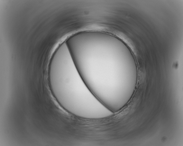 X0000097901477200803140955