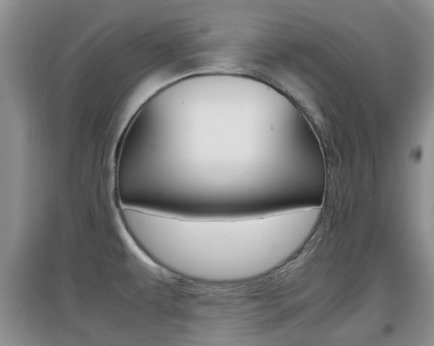 X0000097901479200803140955