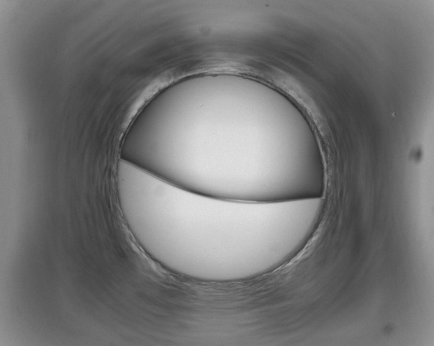 X0000097901481200803140955