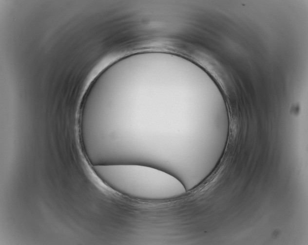 X0000097901482200803140955