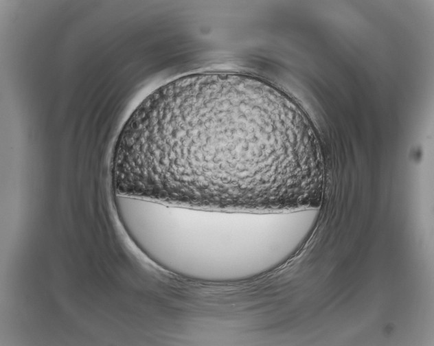 X0000097901483200803140955