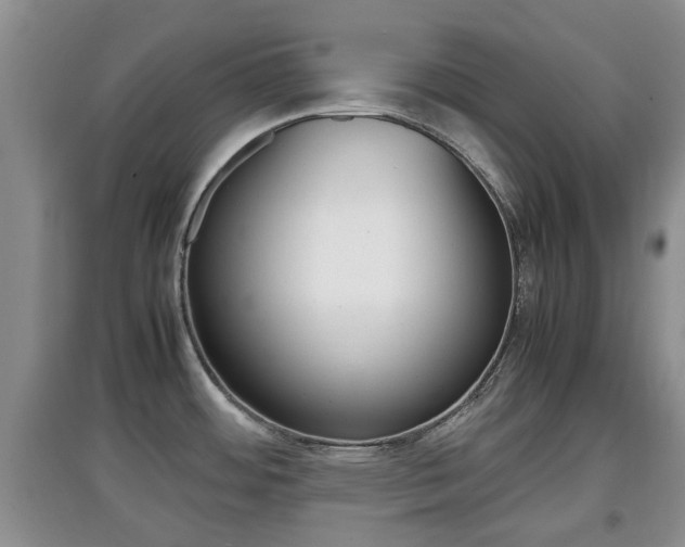 X0000097901484200803140955