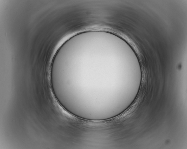 X0000097901486200803140955
