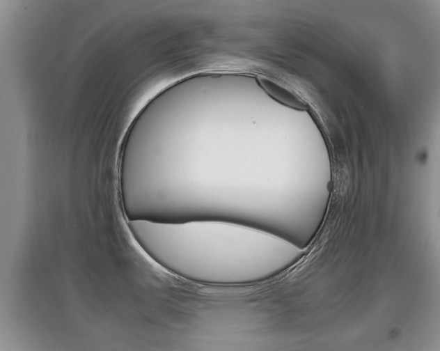 X0000097901487200803140955