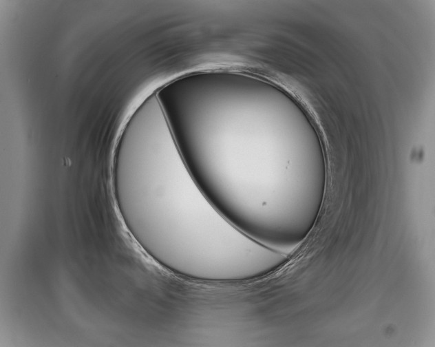 X0000097901488200803140955