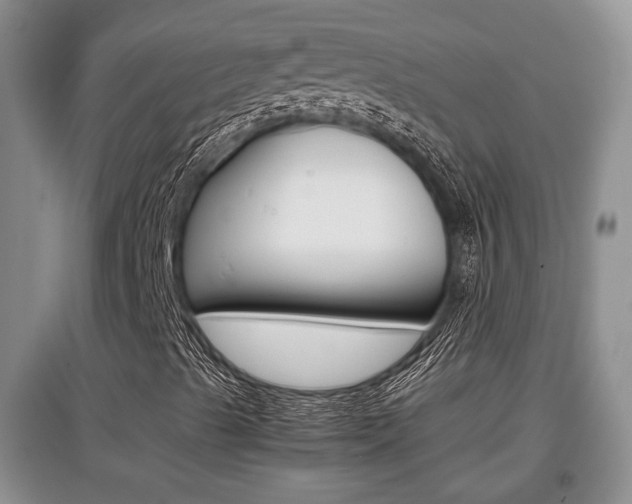 X0000097901489200803140954