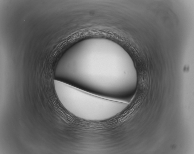 X0000097901490200803140954