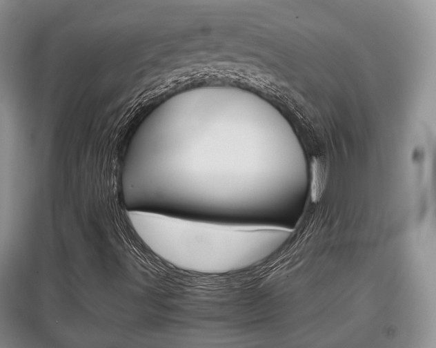X0000097901491200803140954