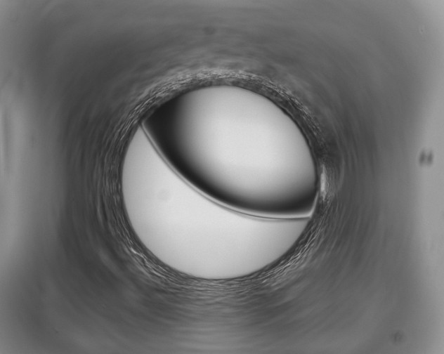 X0000097901492200803140954
