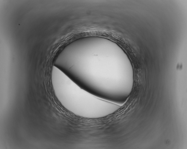 X0000097901493200803140954