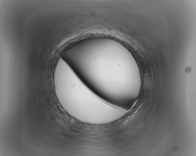 X0000097901494200803140954
