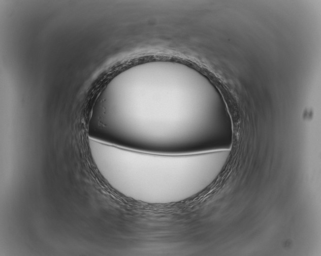 X0000097901495200803140954