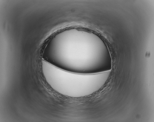 X0000097901496200803140954