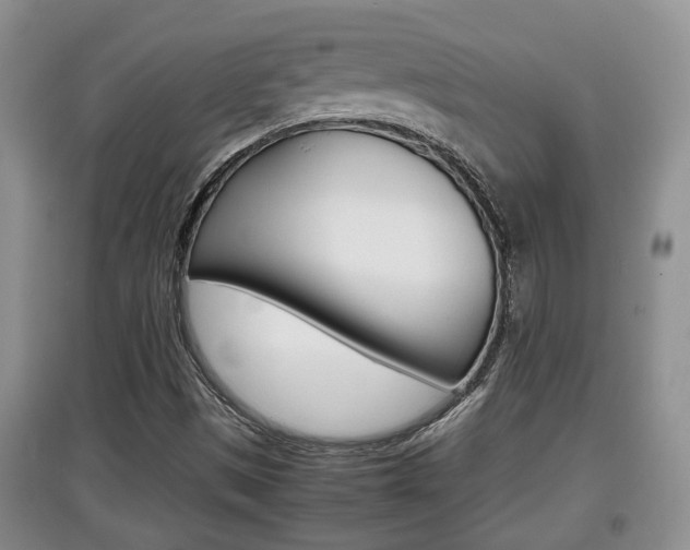 X0000097901497200803140954