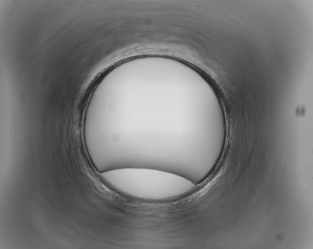 X0000097901498200803140954