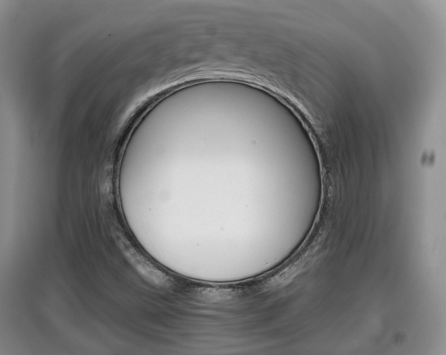 X0000097901499200803140954