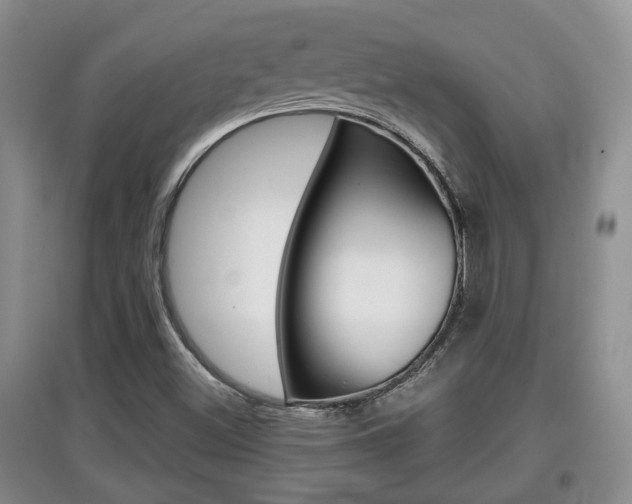 X0000097901500200803140954