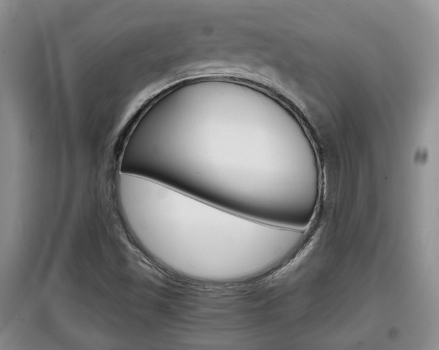 X0000097901501200803140954